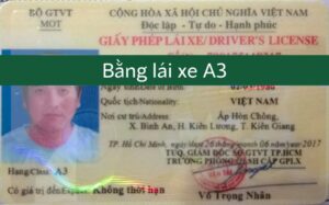 Bằng lái xe A3 lái được xe gì? Thông tin về giấy phép lái xe A3