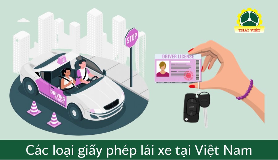 các loại bằng lái xe tại việt nam