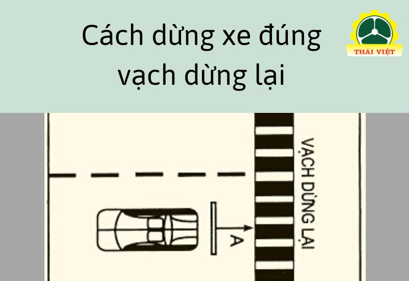 cách dừng xe và nhường đường cho người đi bộ