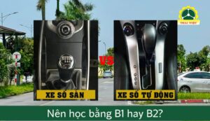 Nên học bằng B1 hay B2 – Tư vấn chi tiết cho cả nam và nữ