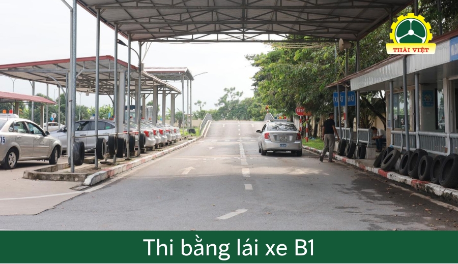 thi bằng lái xe b1